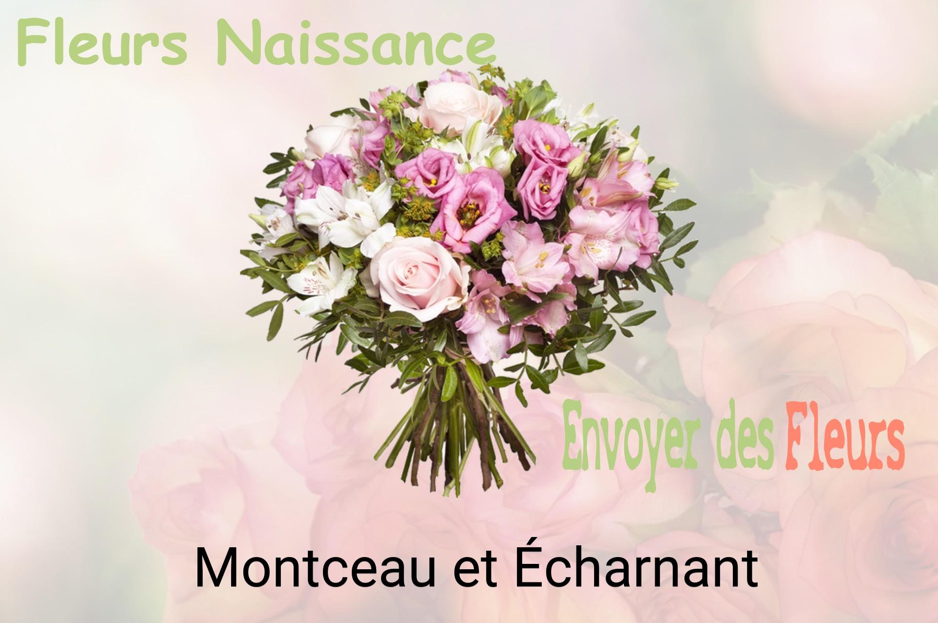 Bouquet de fleurs de naissance livré à Montceau-et-Écharnant